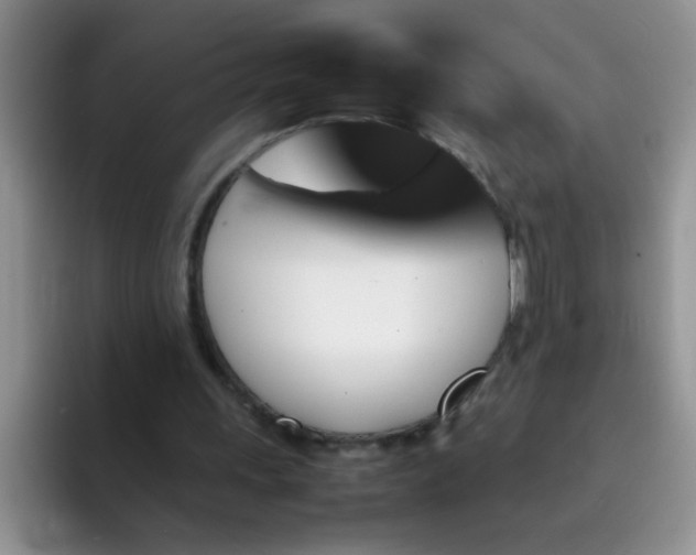 X0000092050243200709262015