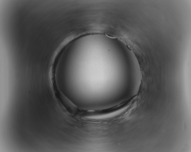 X0000092050244200709262015