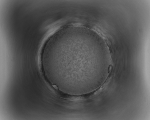 X0000092050245200709262015