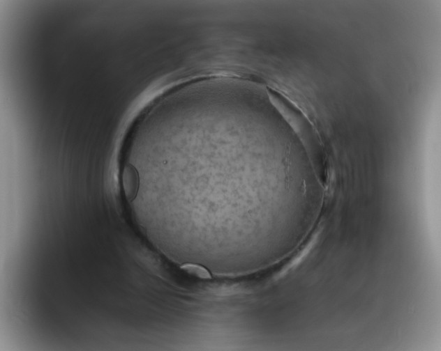 X0000092050246200709262015