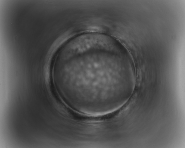 X0000092050247200709262015