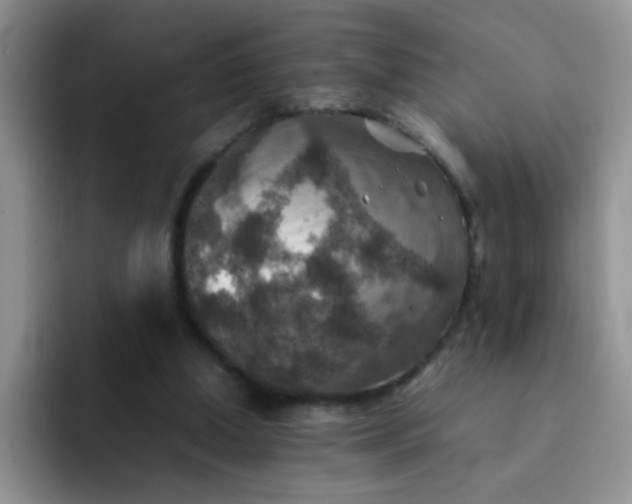 X0000092050250200709262015