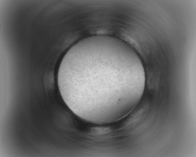 X0000092050251200709262015