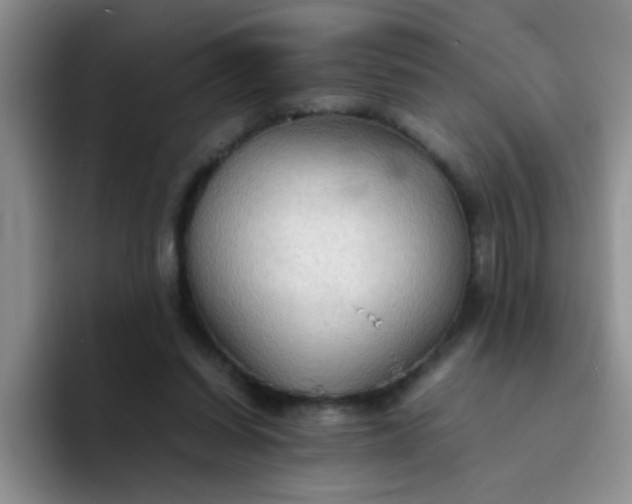 X0000092050254200709262015