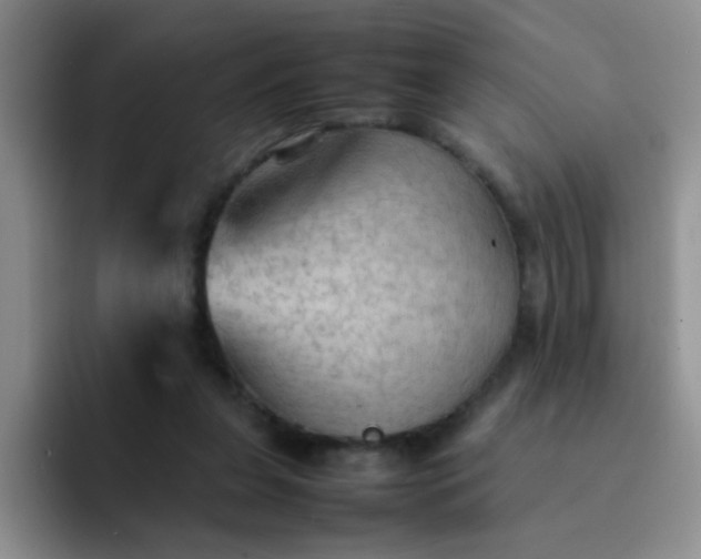 X0000092050255200709262015