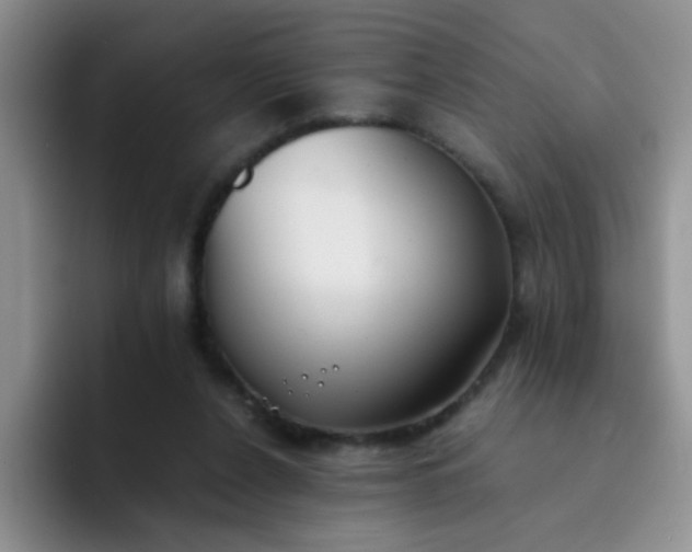 X0000092050256200709262015