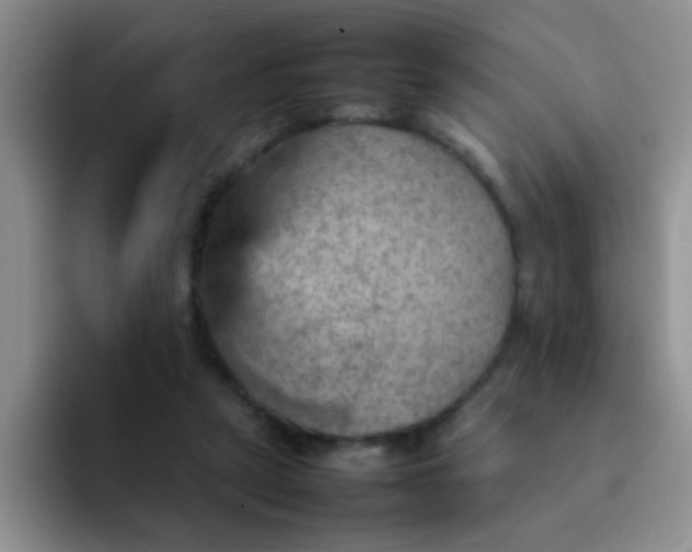 X0000092050257200709262015