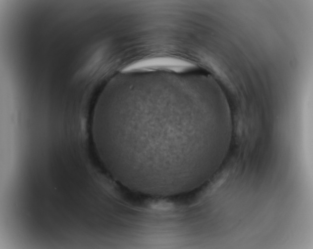 X0000092050258200709262015