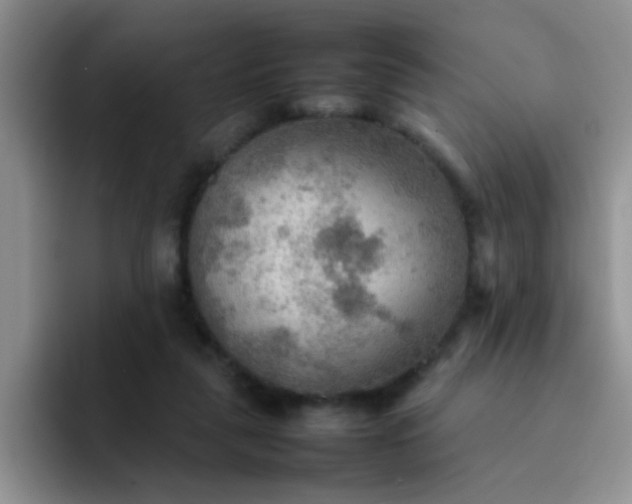 X0000092050259200709262015