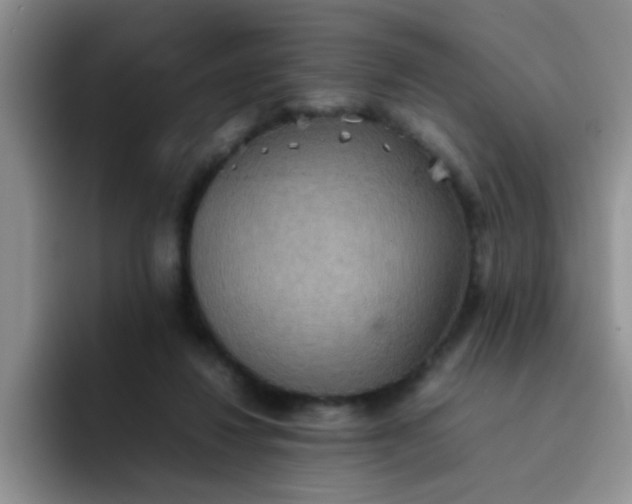 X0000092050260200709262015