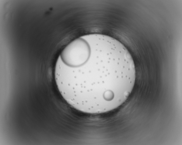 X0000092050262200709262015