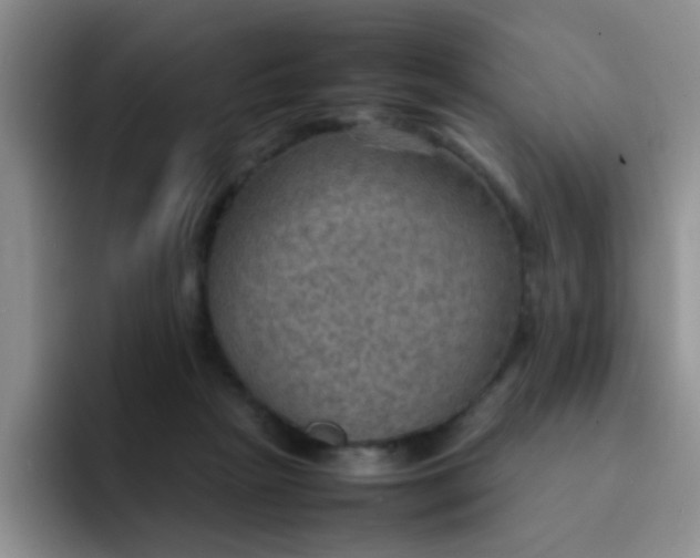 X0000092050265200709262015