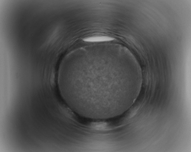 X0000092050266200709262015