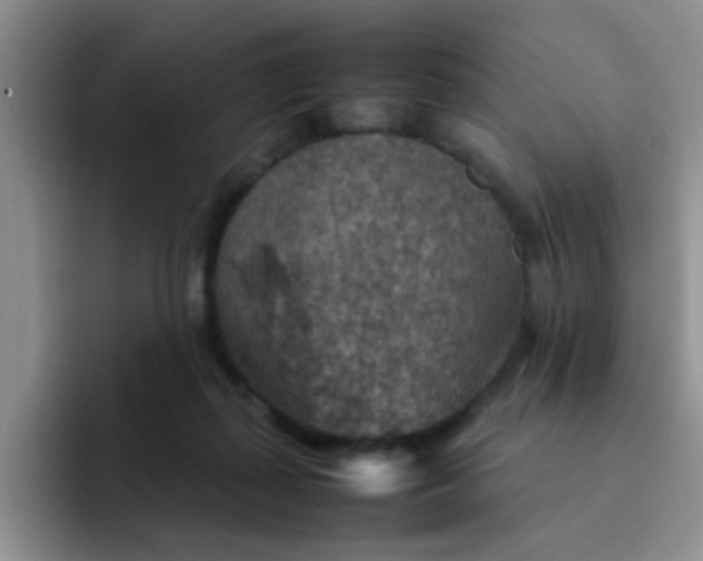 X0000092050267200709262015