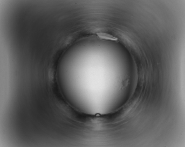 X0000092050268200709262015