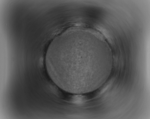 X0000092050269200709262015