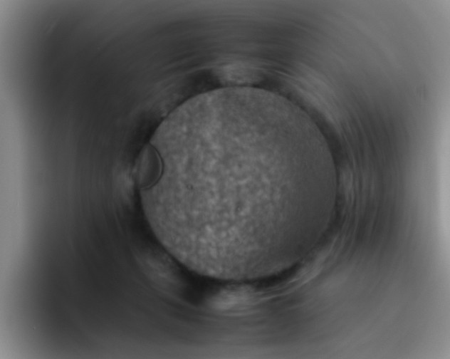 X0000092050271200709262015