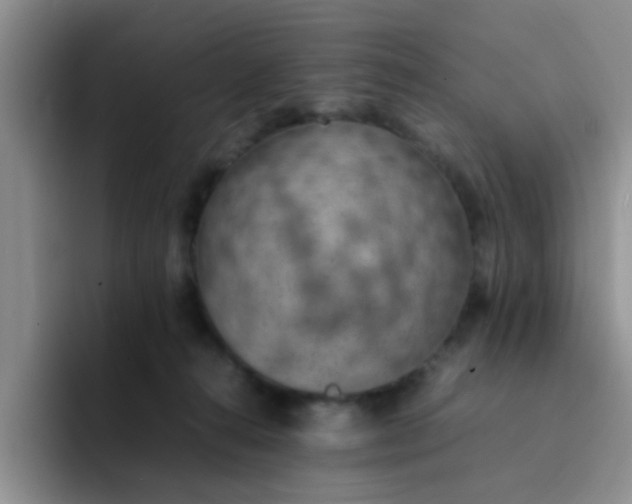 X0000092050272200709262015