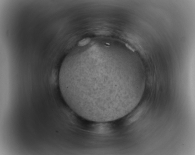 X0000092050273200709262015