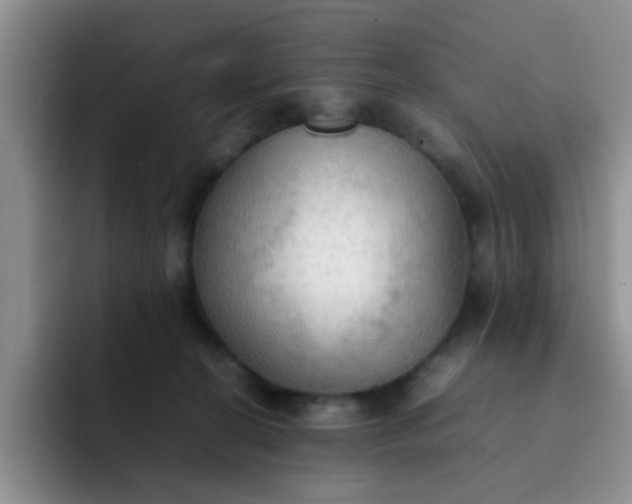 X0000092050274200709262015