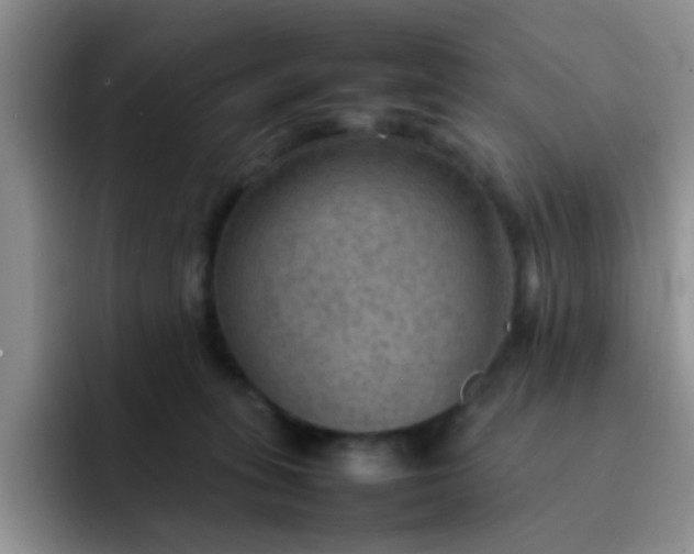 X0000092050275200709262015