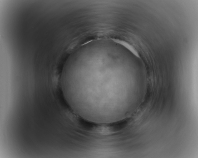 X0000092050276200709262015