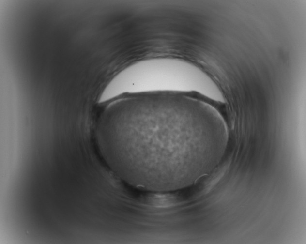 X0000092050277200709262015