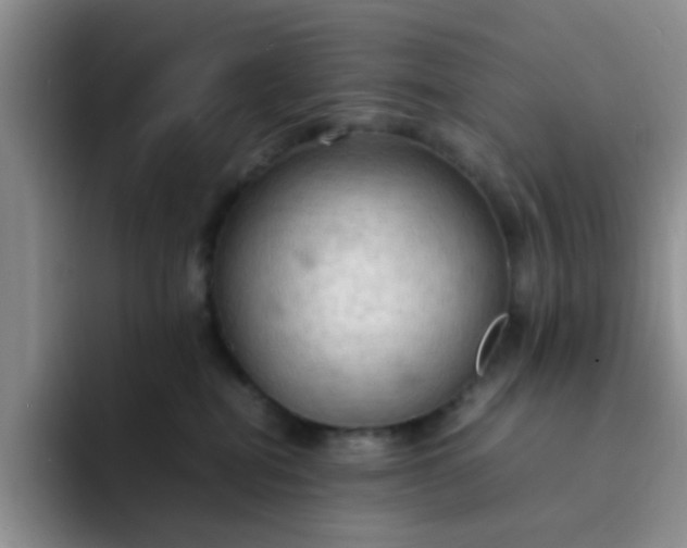 X0000092050282200709262015