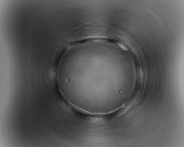 X0000092050284200709262015