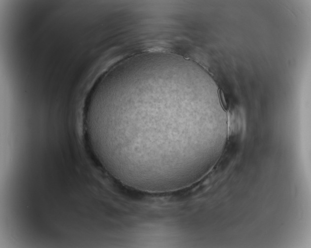 X0000092050291200709262014