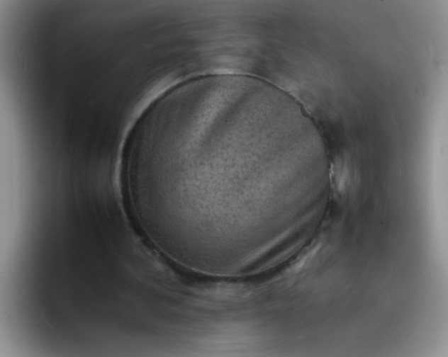 X0000092050292200709262014