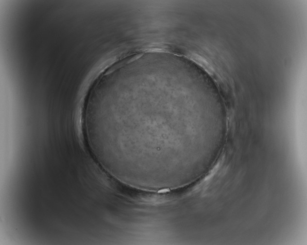 X0000092050293200709262014