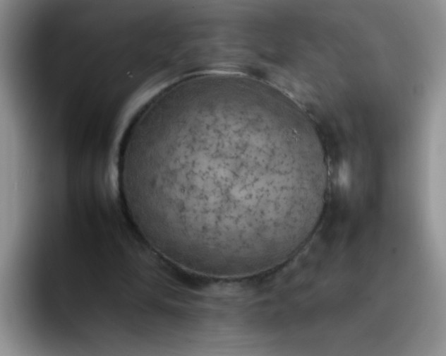 X0000092050294200709262014