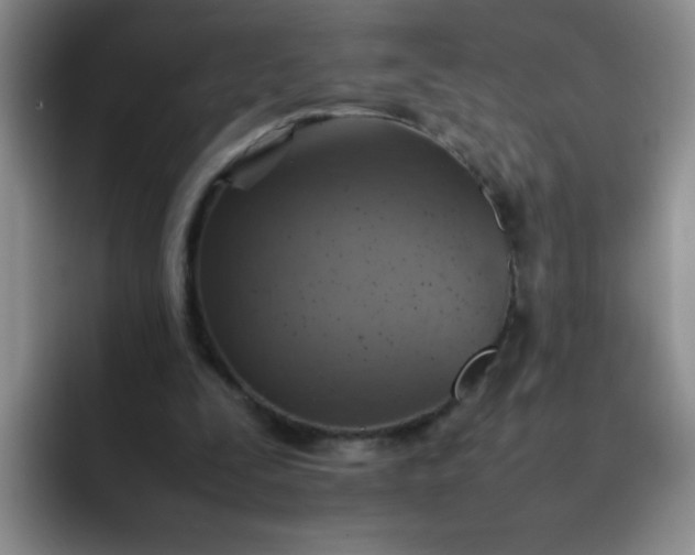 X0000092050295200709262014