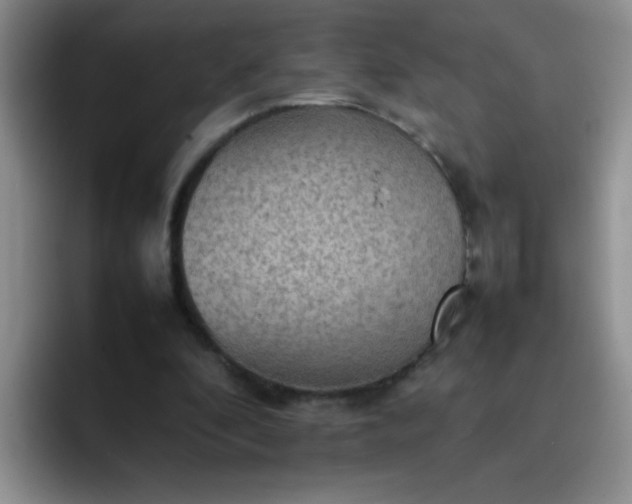 X0000092050296200709262014