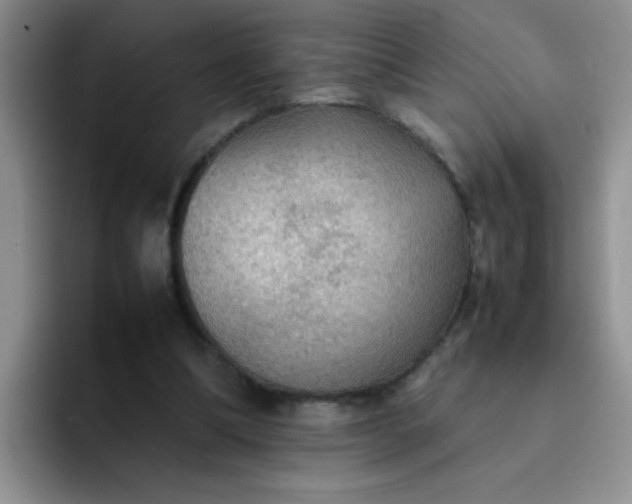 X0000092050298200709262014