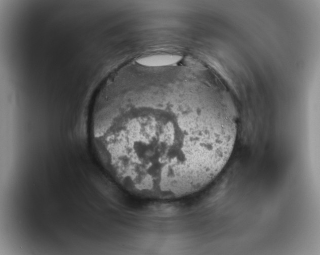 X0000092050299200709262014