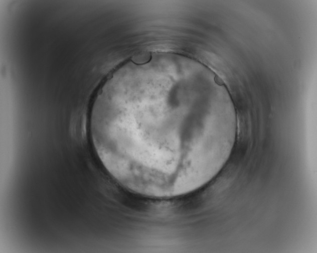 X0000092050301200709262014