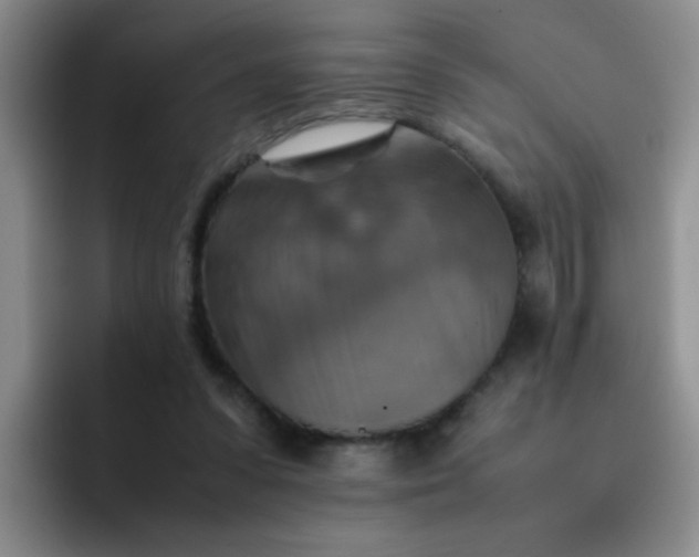 X0000092050303200709262014