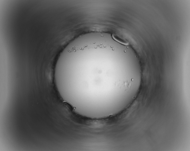 X0000092050305200709262014