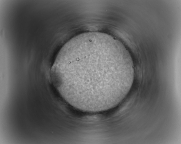 X0000092050307200709262014