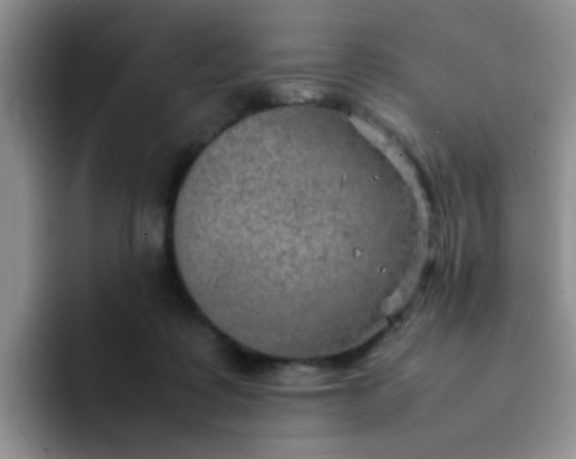 X0000092050315200709262014