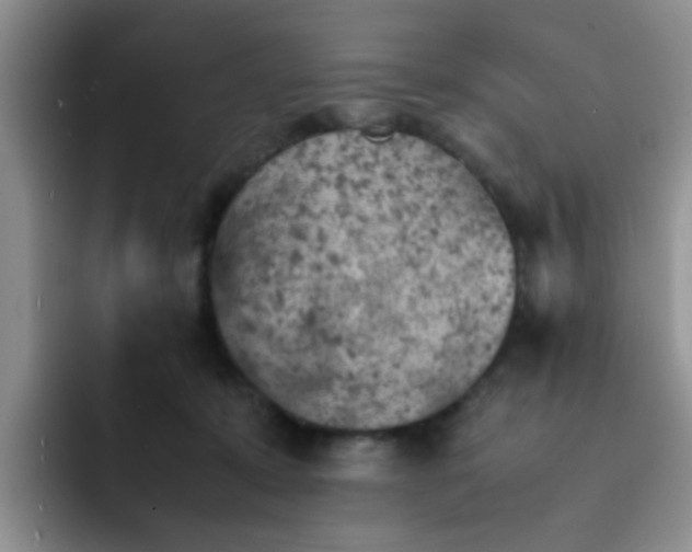 X0000092050319200709262014