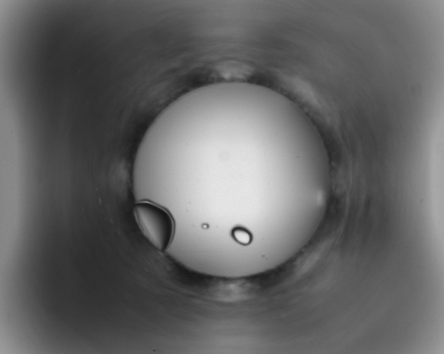 X0000092050321200709262014