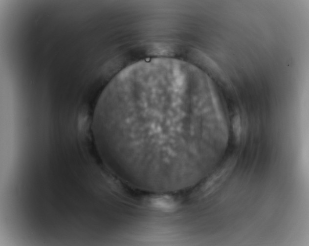 X0000092050322200709262014