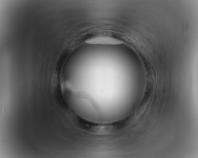 X0000092050323200709262014