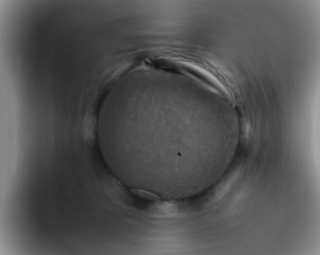 X0000092050325200709262014