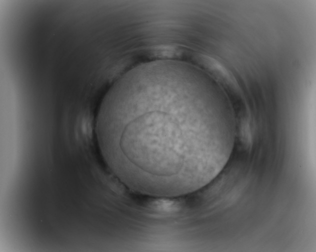 X0000092050326200709262014