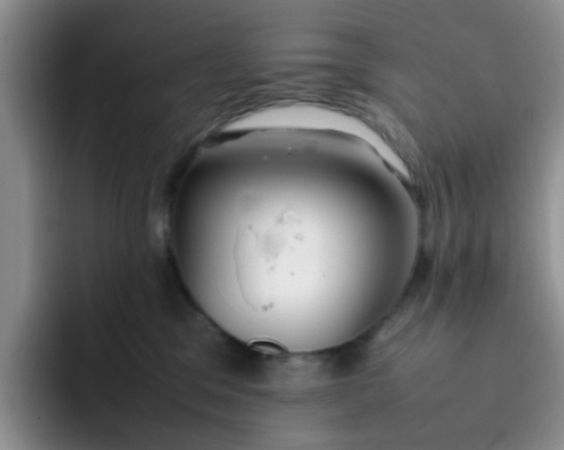 X0000092050329200709262014