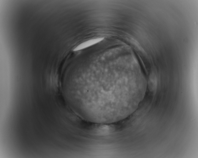 X0000092050330200709262014